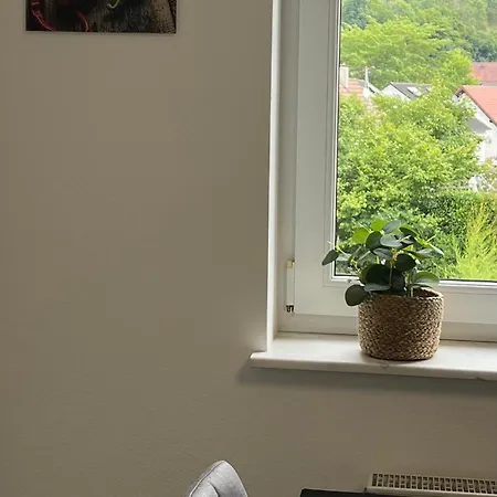 Apartamento Brack In Gaggenau-michelbach, Mit Balkon Und Klimaanlage