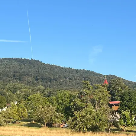 Brack In Gaggenau-michelbach, Mit Balkon Und Klimaanlage *