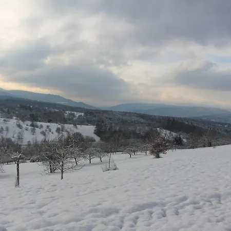 Brack In Gaggenau-michelbach, Mit Balkon Und Klimaanlage * Gaggenau