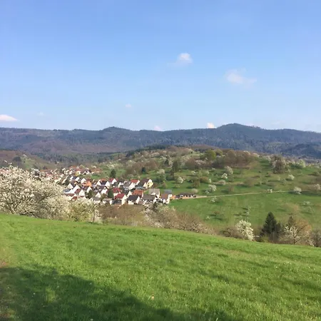 Apartamento Brack In Gaggenau-michelbach, Mit Balkon Und Klimaanlage