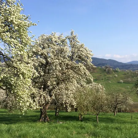 Brack In Gaggenau-michelbach, Mit Balkon Und Klimaanlage Apartamento Gaggenau
