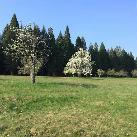 Brack In Gaggenau-michelbach, Mit Balkon Und Klimaanlage Apartamento