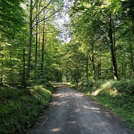 Brack In Gaggenau-michelbach, Mit Balkon Und Klimaanlage