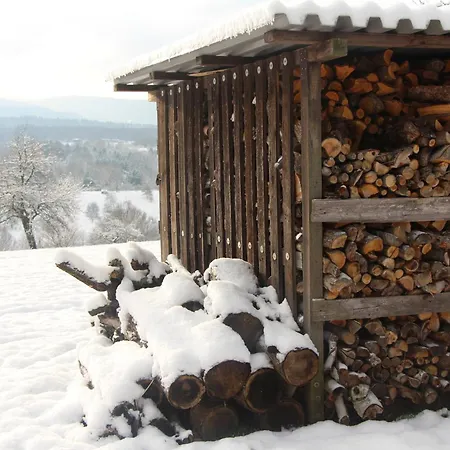 Brack In Gaggenau-michelbach, Mit Balkon Und Klimaanlage Gaggenau